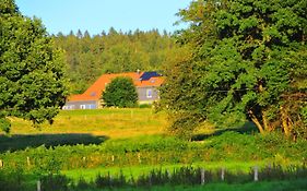 Le Clos des Brumes